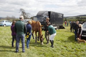 _middleham open day 9a.jpg